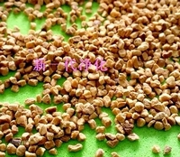 (yu)|(zh)ҚҚ(ͣҚw